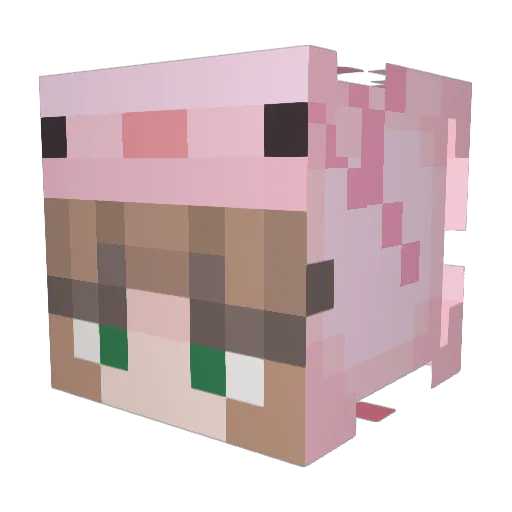 rubymae4 Minecraft avatar head, 3D render