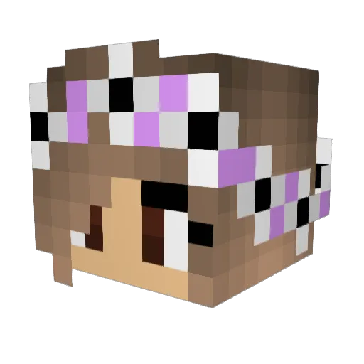rubymc3 Minecraft avatar head, 3D render