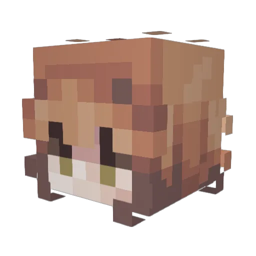 rubyvroom Minecraft avatar head, 3D render