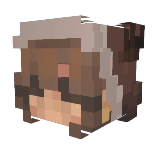 rubywarr Minecraft avatar head, 3D render