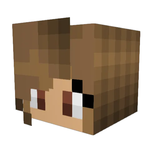 rubzx Minecraft avatar head, 3D render