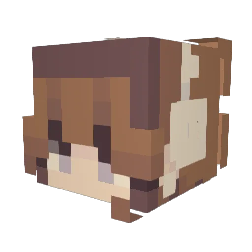 rucal12 Minecraft avatar head, 3D render