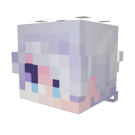 rudedog23 Minecraft avatar head, 3D render