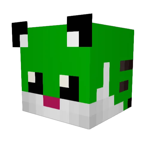 rudgh456 Minecraft avatar head, 3D render