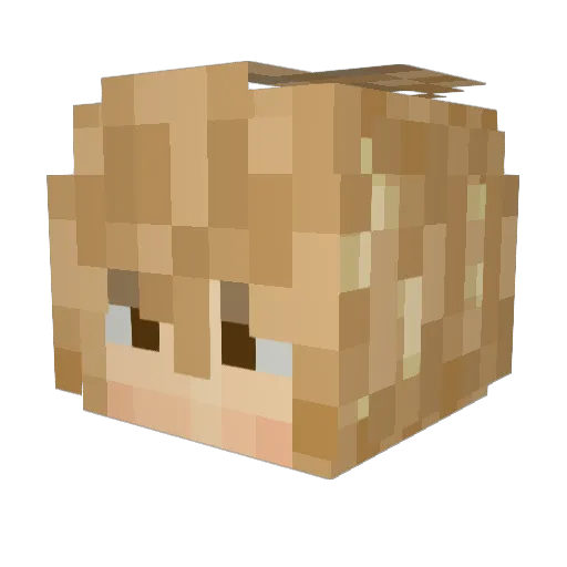 rudi3rdy Minecraft avatar head, 3D render