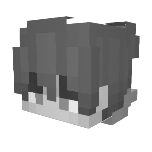 rudn_ Minecraft avatar head, 3D render