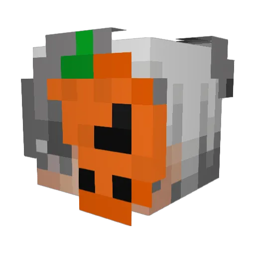 rudy_2011 Minecraft avatar head, 3D render
