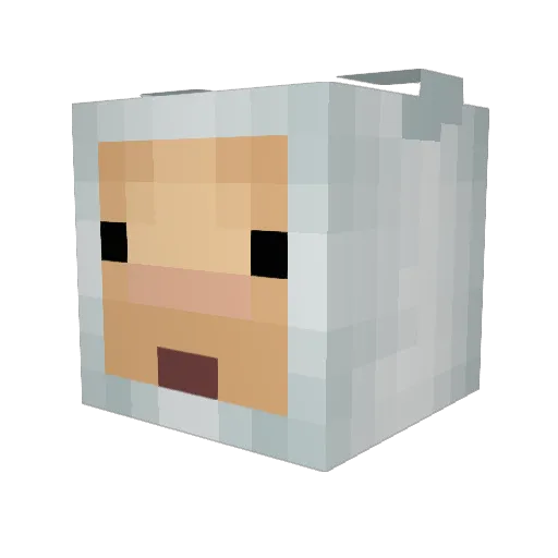 rudzn Minecraft avatar head, 3D render