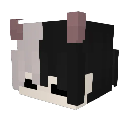 ruf1kov Minecraft avatar head, 3D render