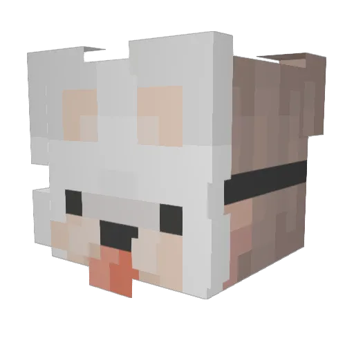 rufers Minecraft avatar head, 3D render