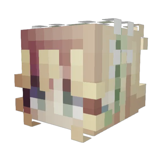 rufioza Minecraft avatar head, 3D render