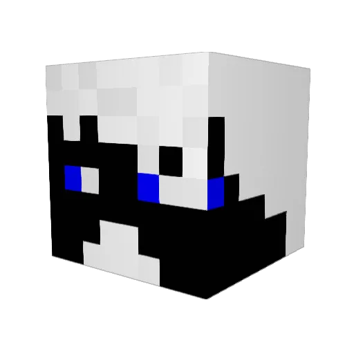 rugbygabe Minecraft avatar head, 3D render