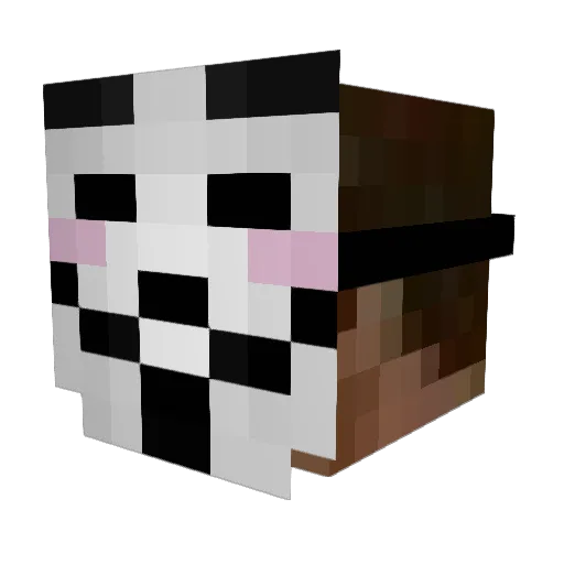 rugbyseal Minecraft avatar head, 3D render