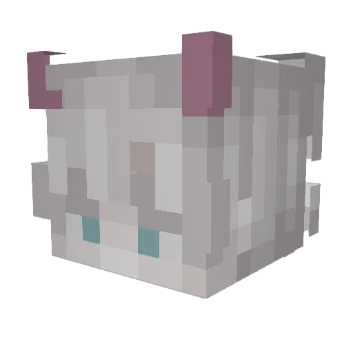 ruggie_236 Minecraft avatar head, 3D render