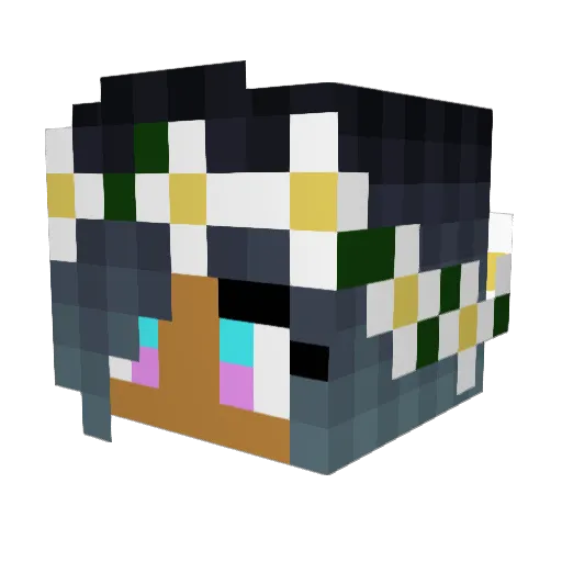 ruggjoe1 Minecraft avatar head, 3D render
