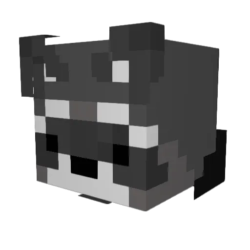 ruhgoobz Minecraft avatar head, 3D render