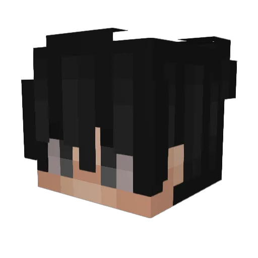 ruhtracat Minecraft avatar head, 3D render