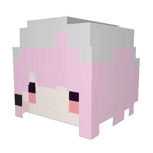ruiepic Minecraft avatar head, 3D render
