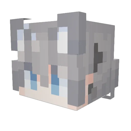 ruili123 Minecraft avatar head, 3D render