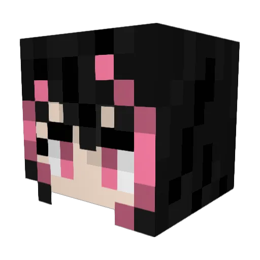 ruina1029 Minecraft avatar head, 3D render