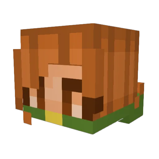 ruinsofalph Minecraft avatar head, 3D render