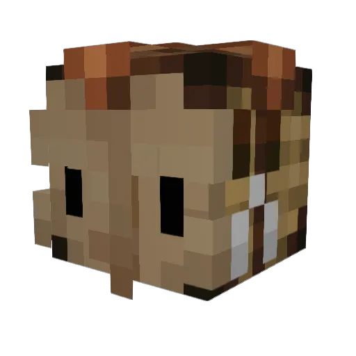 ruitheray Minecraft avatar head, 3D render