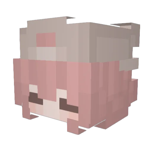 ruitsuki Minecraft avatar head, 3D render