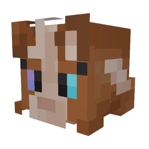 rukii_of_skalitz Minecraft avatar head, 3D render