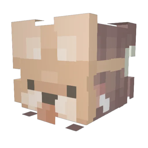 ruksy16 Minecraft avatar head, 3D render