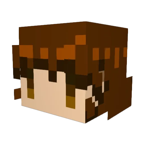 rukuriri Minecraft avatar head, 3D render