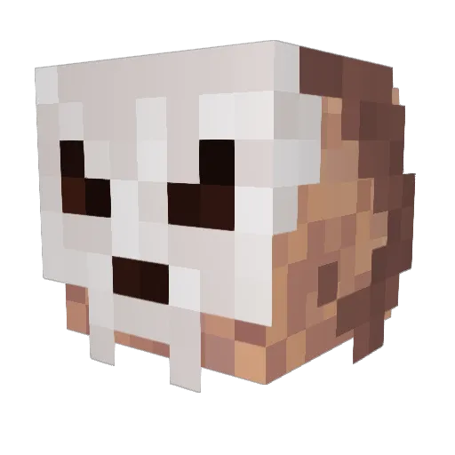 rumbledop420 Minecraft avatar head, 3D render