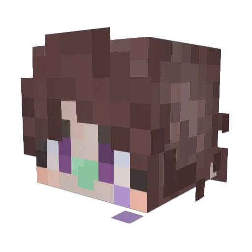 rumeboshi Minecraft avatar head, 3D render