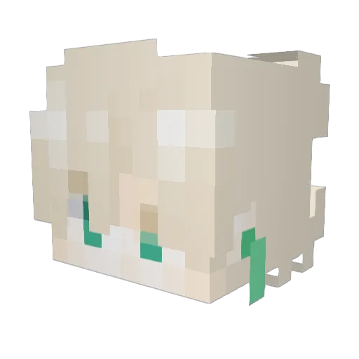 rumel_ Minecraft avatar head, 3D render