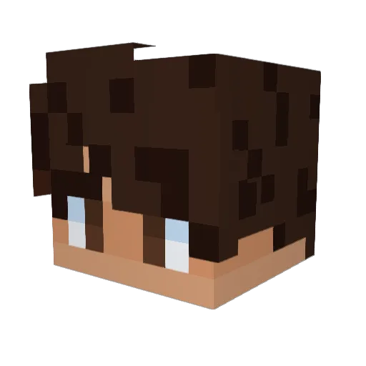 run215 Minecraft avatar head, 3D render