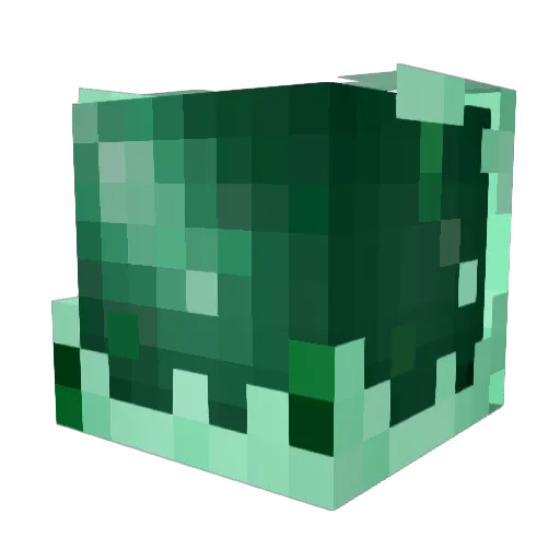 run_ham Minecraft avatar head, 3D render