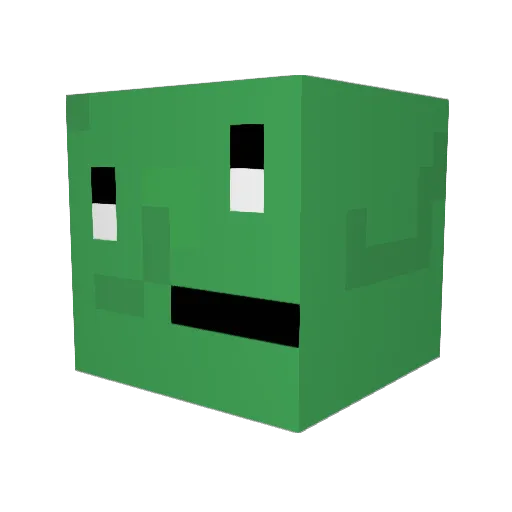 runan1110 Minecraft avatar head, 3D render