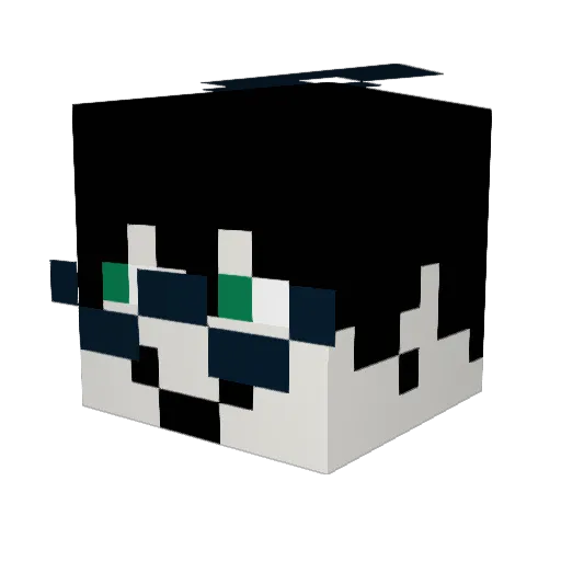 runaway_achi Minecraft avatar head, 3D render