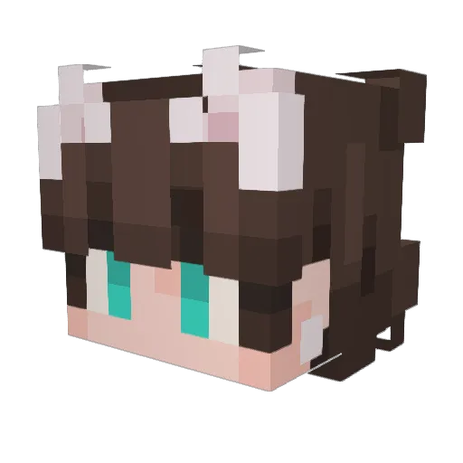 runaway_n00dle Minecraft avatar head, 3D render