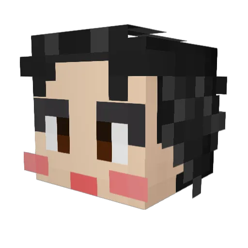 rundum Minecraft avatar head, 3D render