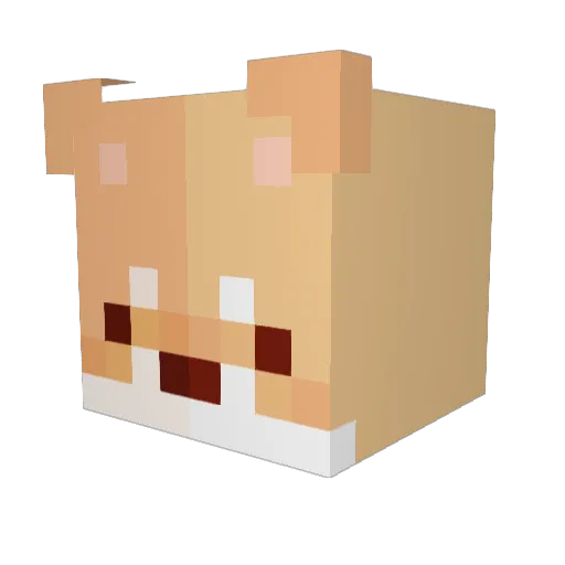 runescapeshrimp Minecraft avatar head, 3D render
