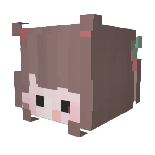 rungji00 Minecraft avatar head, 3D render