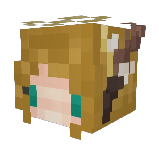 runic_goose Minecraft avatar head, 3D render