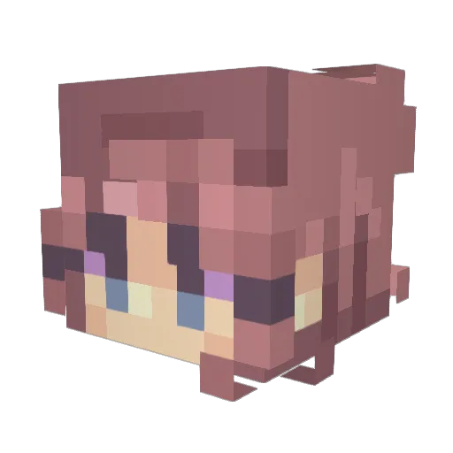 runningmumfinn Minecraft avatar head, 3D render
