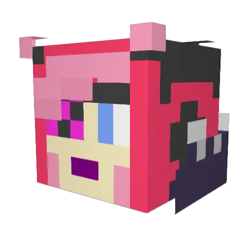 rupeta Minecraft avatar head, 3D render