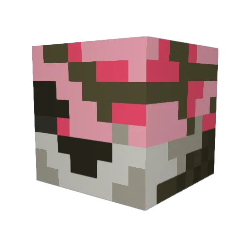 ruppinator Minecraft avatar head, 3D render