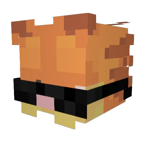 ruricc Minecraft avatar head, 3D render