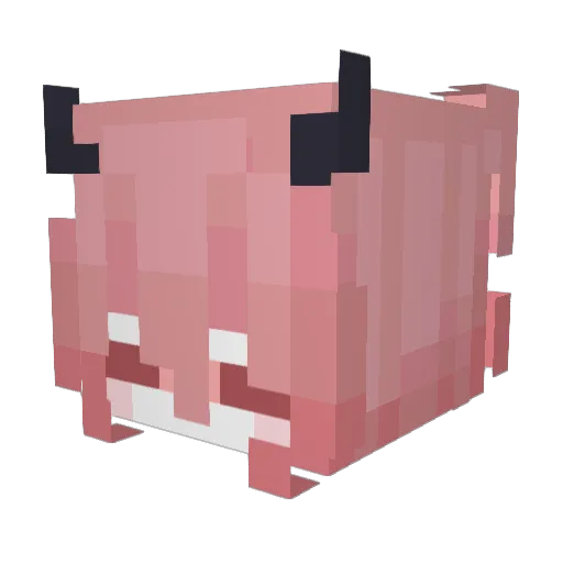 ruru0517 Minecraft avatar head, 3D render