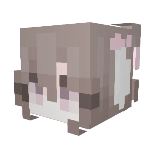 ruru1010 Minecraft avatar head, 3D render