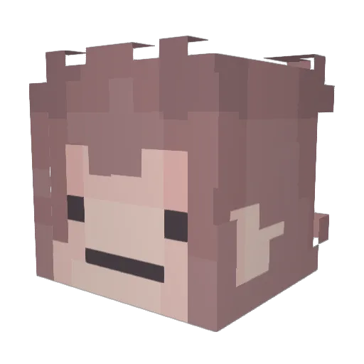 rushigh Minecraft avatar head, 3D render