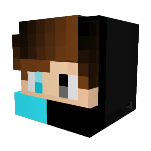 rustchad4665 Minecraft avatar head, 3D render